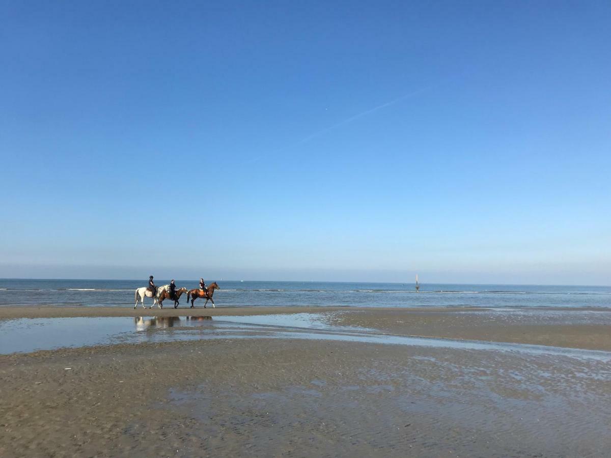 شقة Koksijde Zeedijk Res Manh المظهر الخارجي الصورة